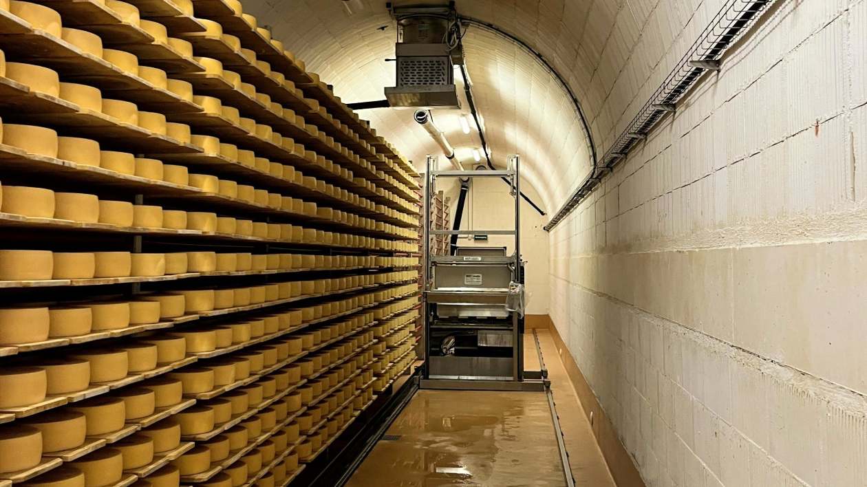 FROMARTE-Lager_IMG_5624